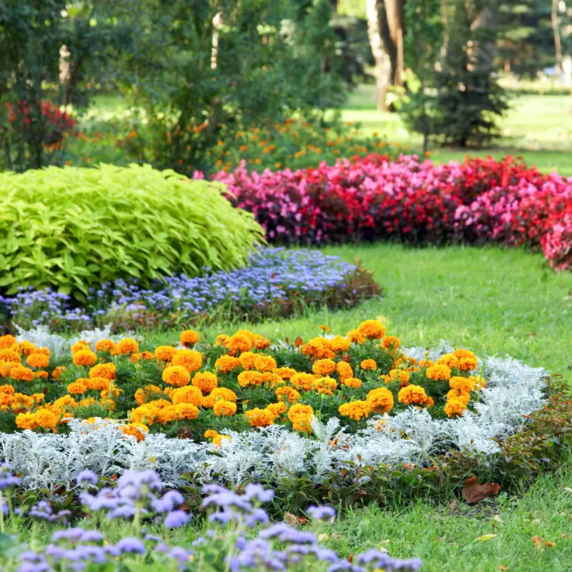 lawn care and landscaping
